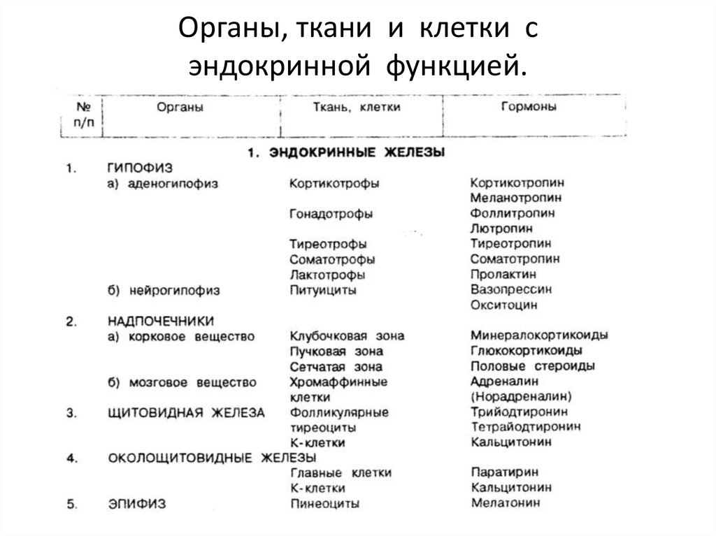 Железы внутренней секреции и их функции