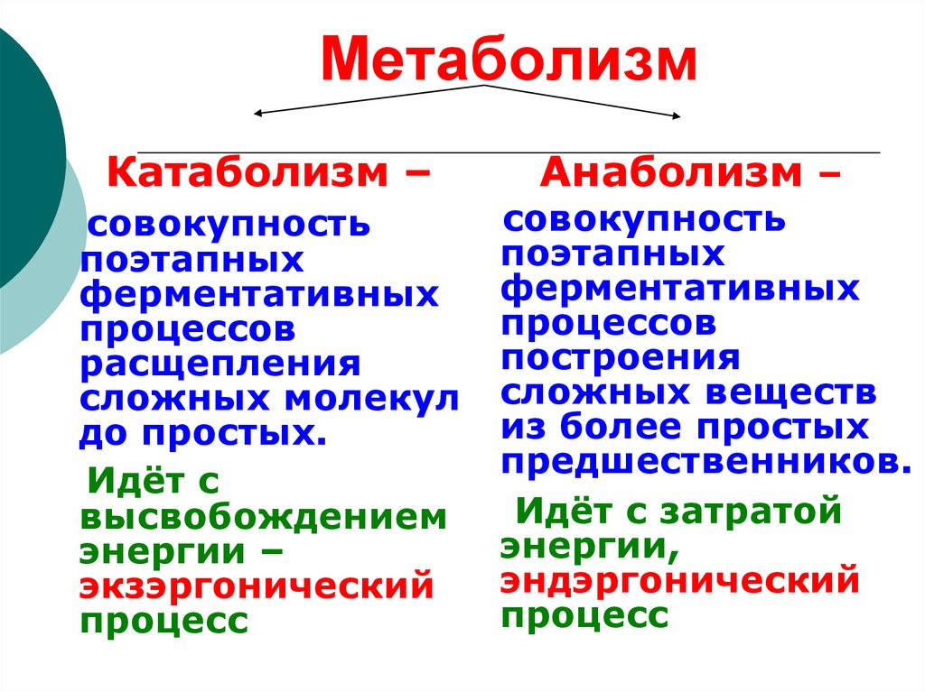 Метаболизм обменных процессов. Общее понятие об обмене веществ и энергии.анаболизм и катаболизм. Метаболизм анаболизм катаболизм таблица. Понятие анаболизма и катаболизма. Метаболизм схема анаболизм и катаболизм.