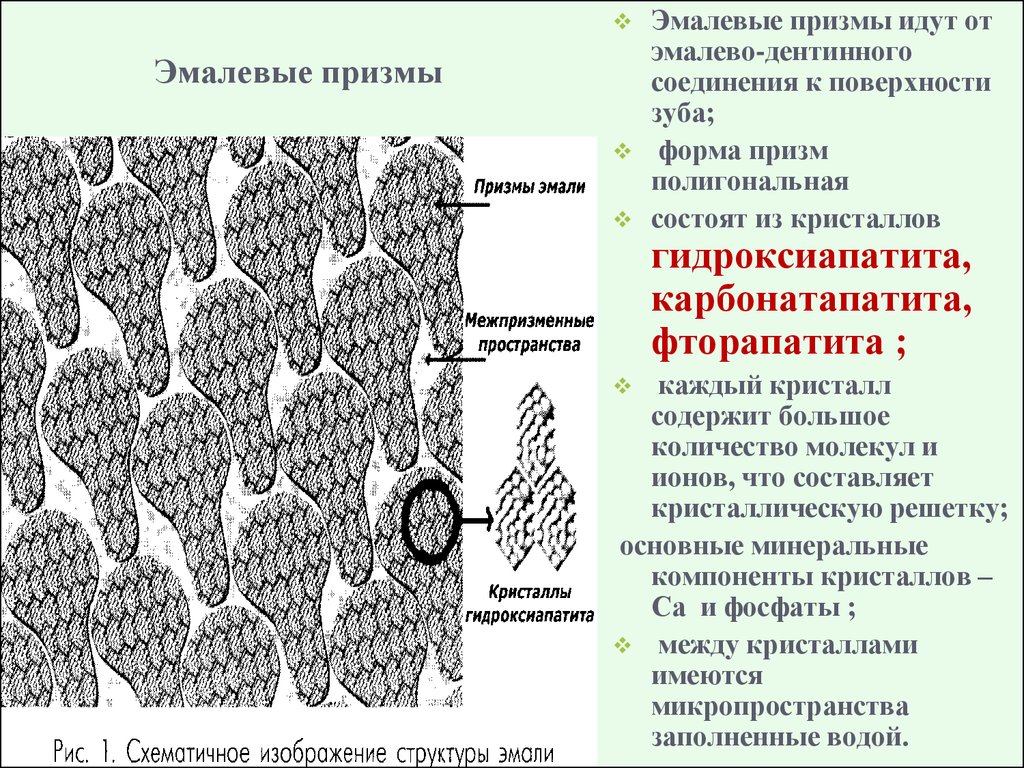 Эмалево дентинной