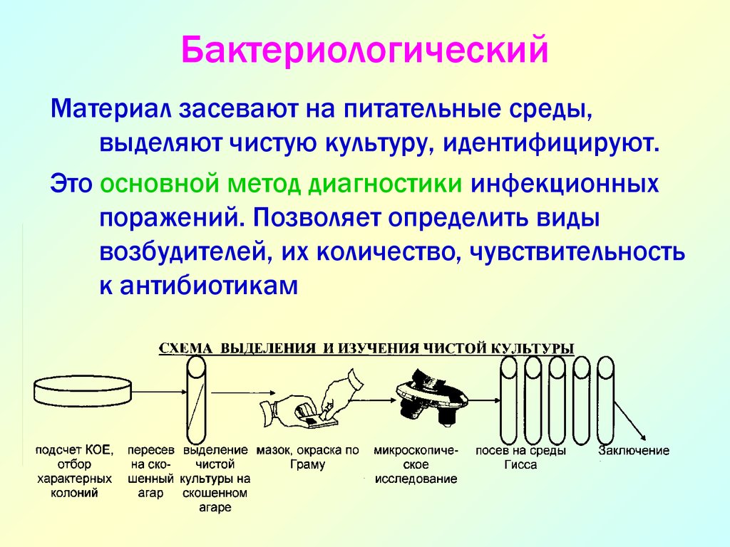 Бактериологический метод. Методы исследования вирулентности микроорганизмов. Бактериологический метод основан на. Виды бактериологического исследования. Бактериологический метод лабораторной диагностики.