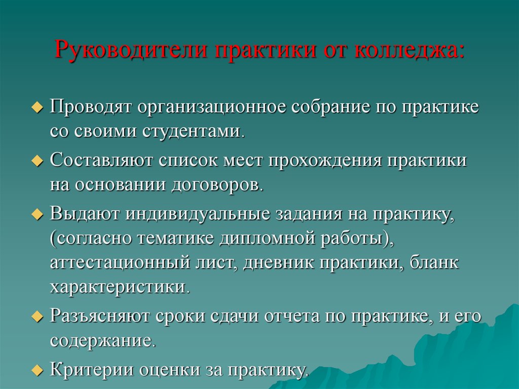 Организация учебной практики. Руководитель практики. Виды практики в колледже. Презентация практики.