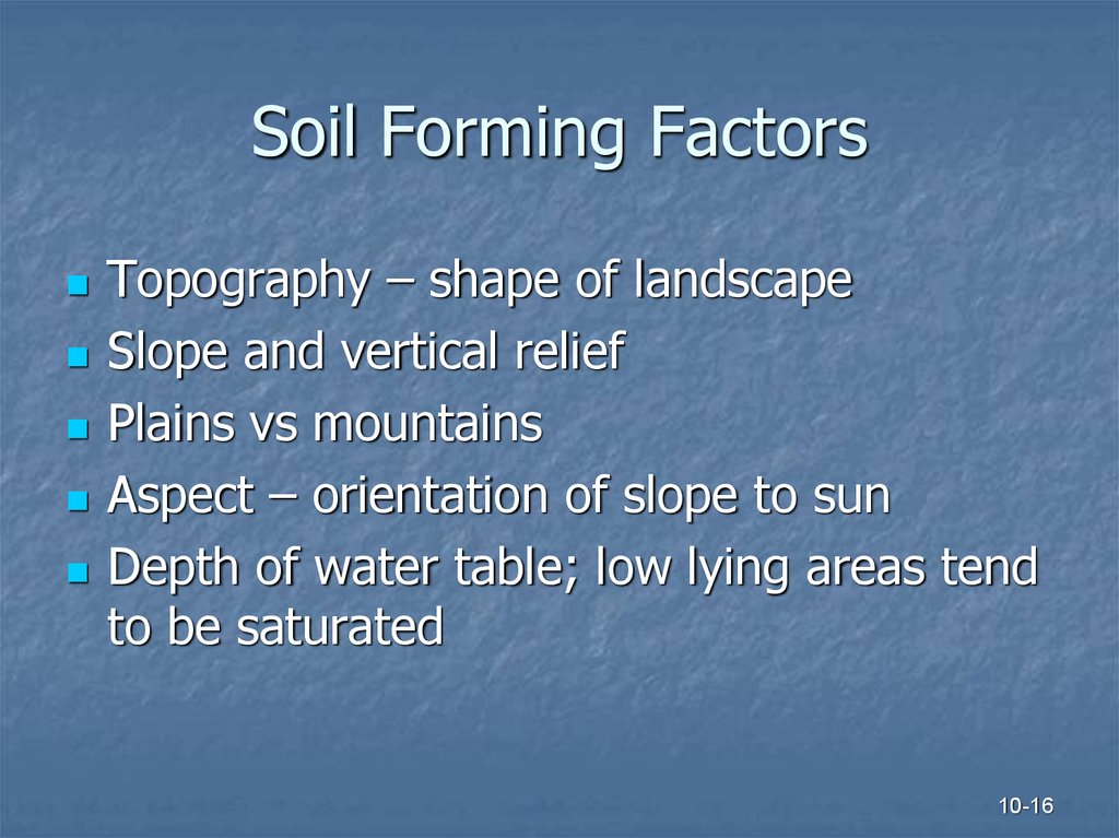 Soil Forming Factors