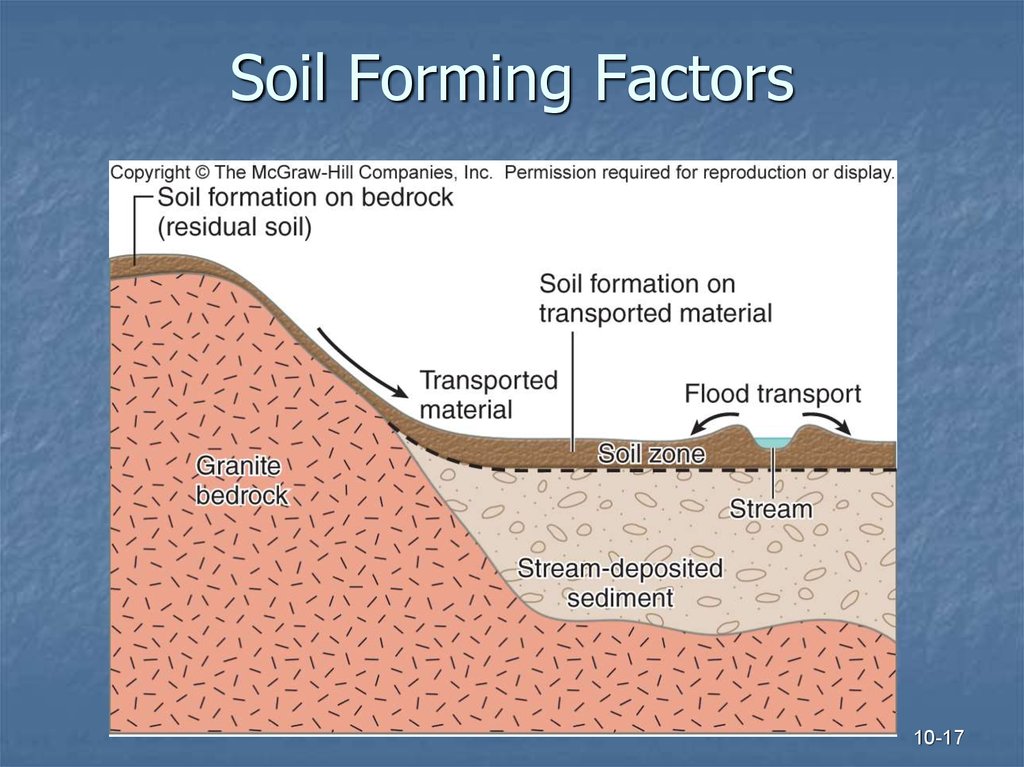 What Is Soil Explain In Detail