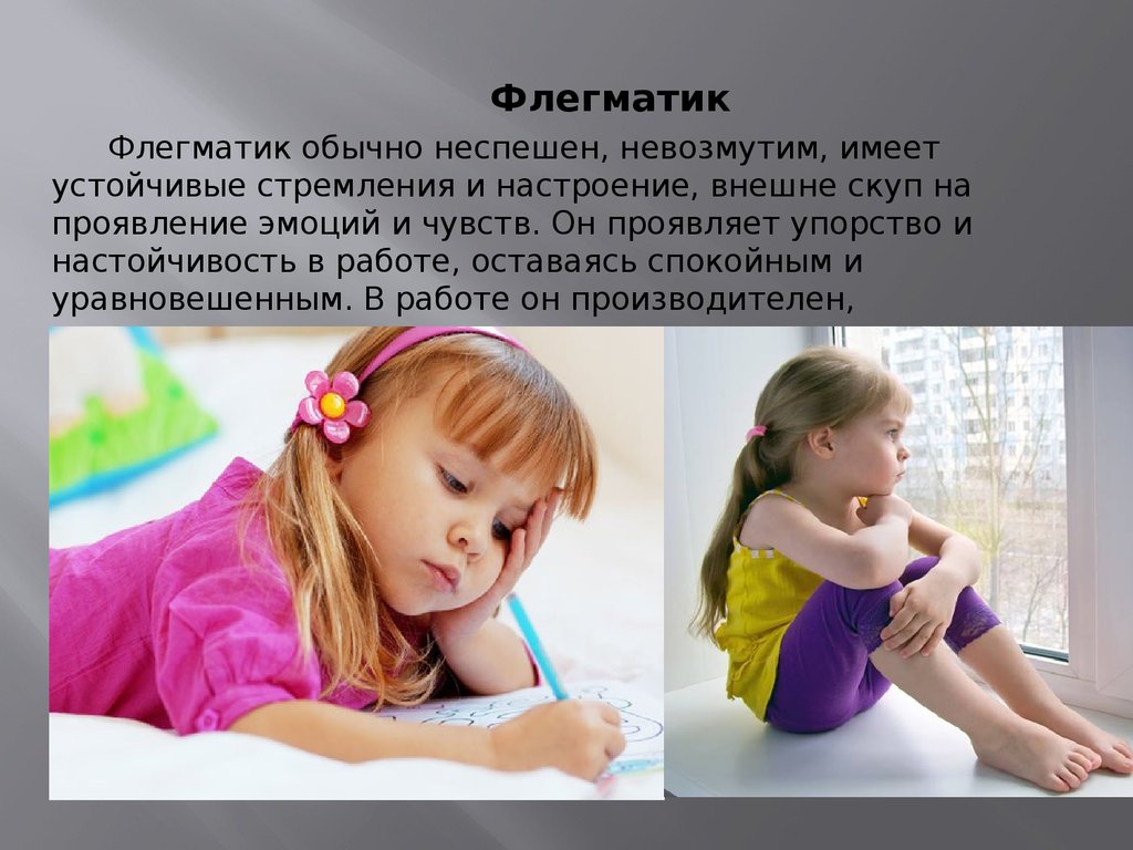 Флегматик фото для презентации