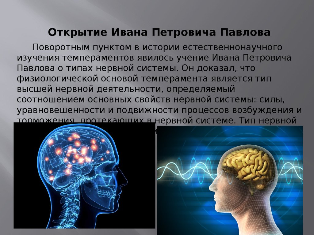 Что лежит в основе нервной деятельности человека. Нервная деятельность человека. Физиологические основы темперамента. Заболевании верхней нервной деятельности.