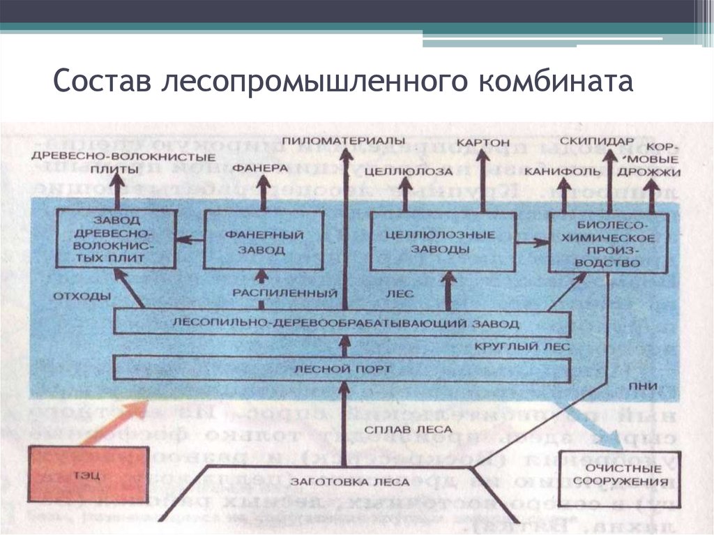 Схема лесной промышленности