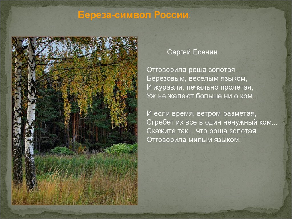 Ветер уносил дым в березовую рощу. Отговорила Русь Золотая Есенин. Есенин Отговорила Березовая роща. Берёзовая роща стихотворение Есенина.