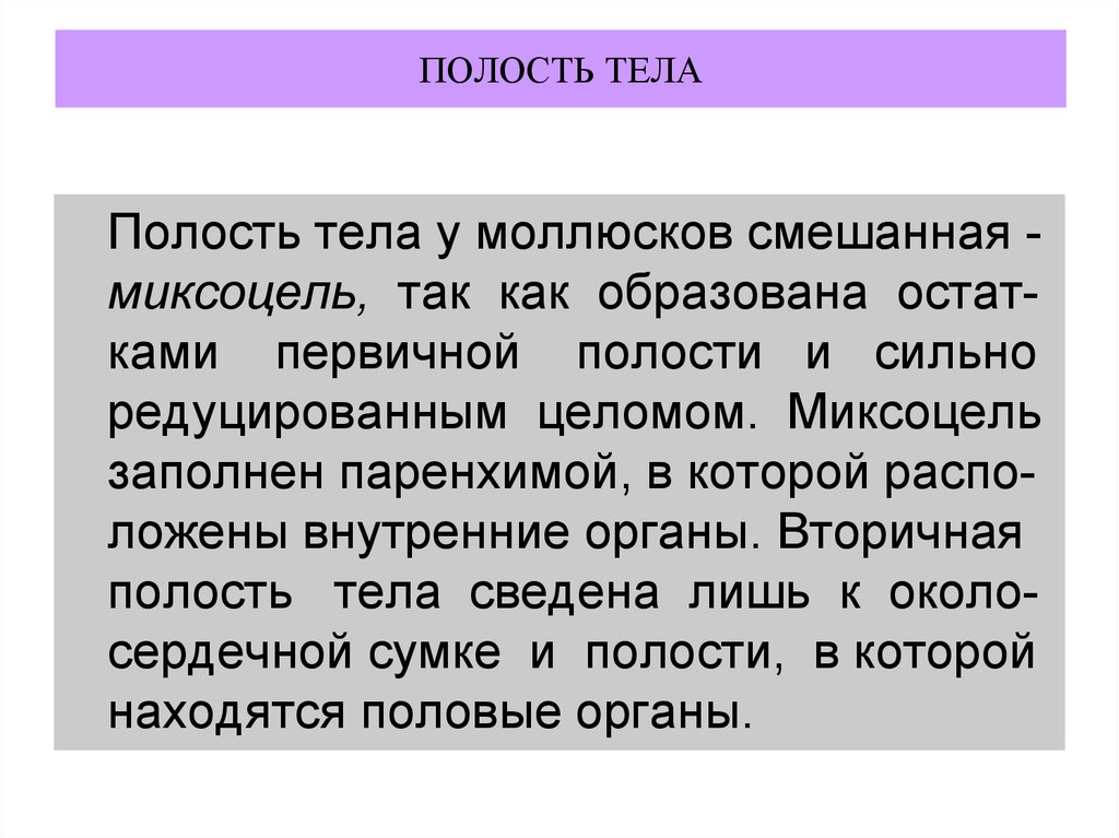 Миксоцель это пространство между органами заполнено паренхимой. Первичная и вторичная полость тела различия таблица. Полость тела и ее функции. Смешанная полость тела миксоцель. Таблица полости тела псевдоцель.