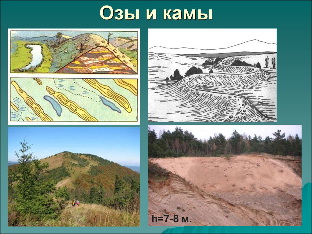 8 форм рельефа. Озы Камы Зандры друмлины. Кама форма рельефа. Камы ледниковые формы рельефа. Кама Геология.