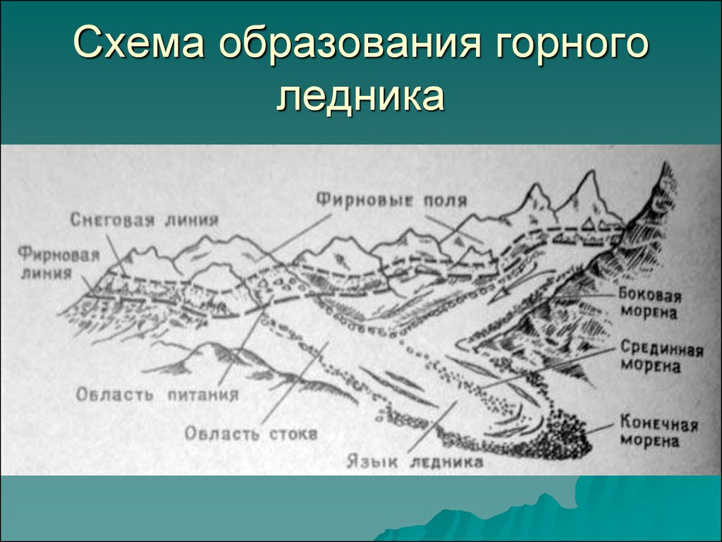 Рассмотрите схему природного процесса и выполните задания фирновый бассейн снеговая линия