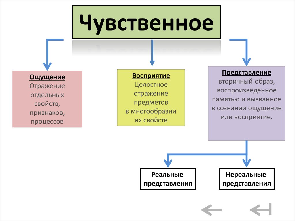 Форма познания ощущение восприятие представление