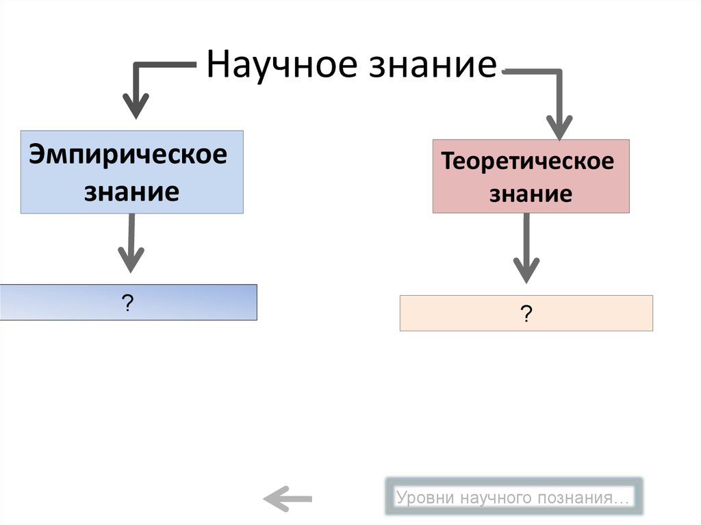 Уровни научного познания. Презентация познание и знание. 2 уровни научного знания