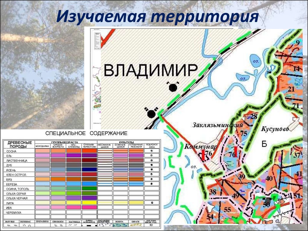 Освоенная территория. Изучение территории. Изучает территорию. Закрепленная территория на карте города.