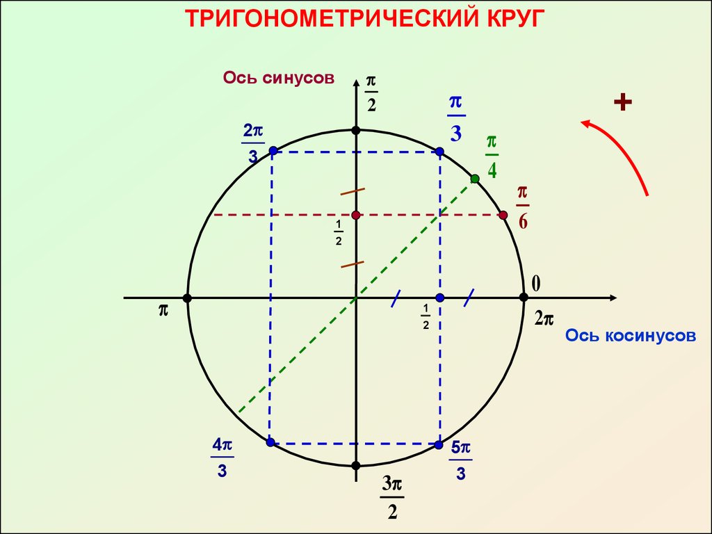 Тригонометрический круг знаки. Тригонометрическая окружность ось синусов. Ось синусов ось косинусов. Единичная окружность тригонометрия синус. Тригонометрический круг ось синусов косинусов тангенсов котангенсов.