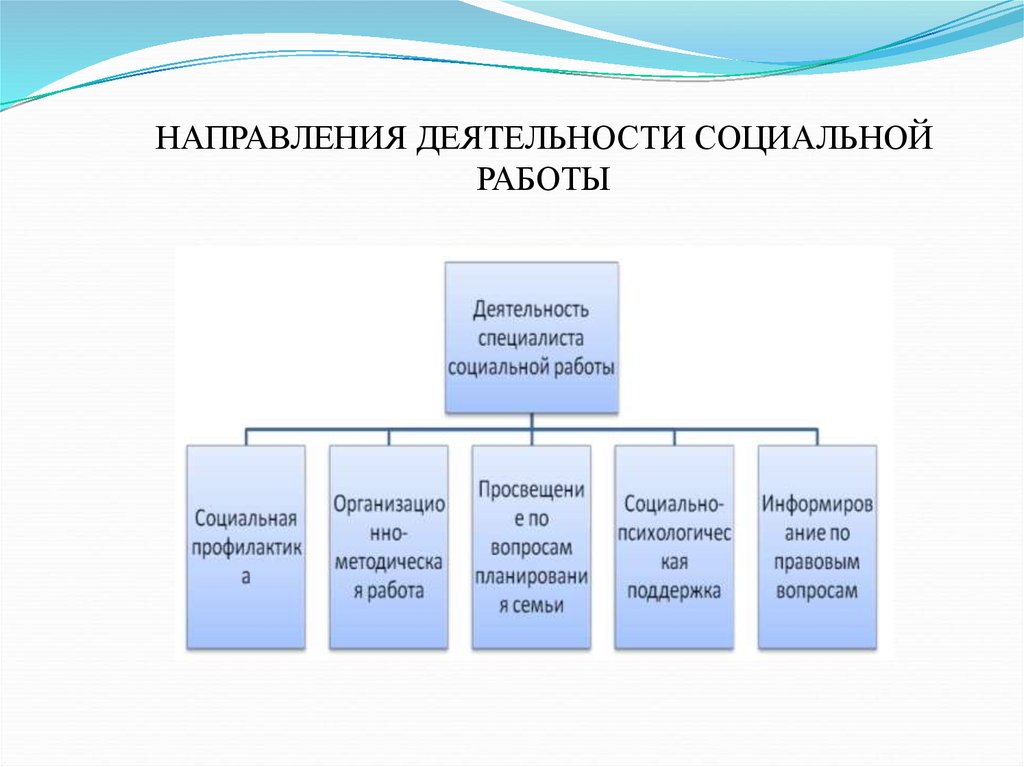 Что указывается в рабочем плане социологического исследования