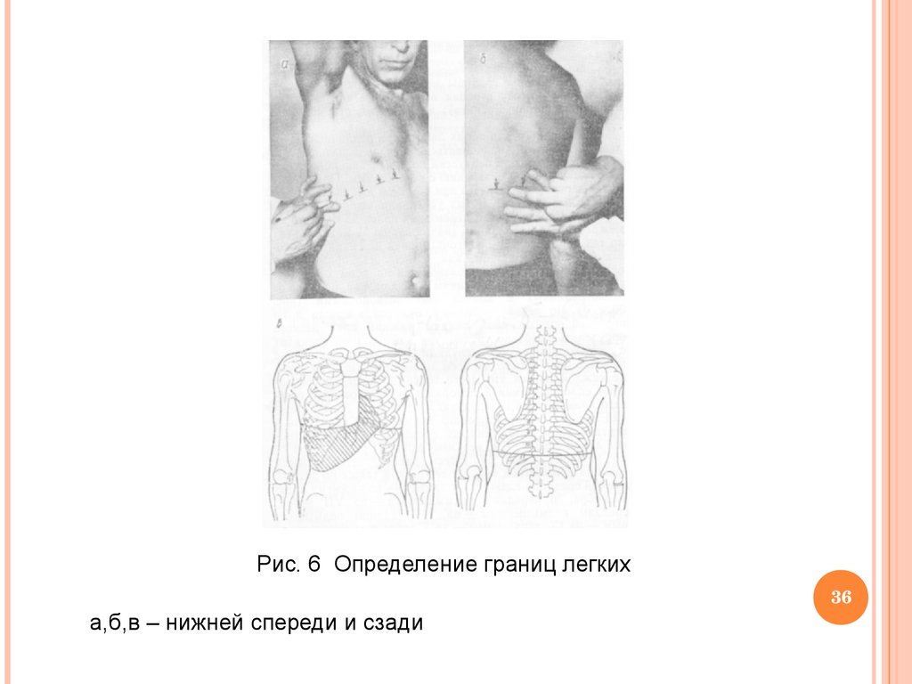 Симптомы при заболеваниях органов дыхания на основании расспроса больного,  пальпации и перкуссии грудной клетки - online presentation