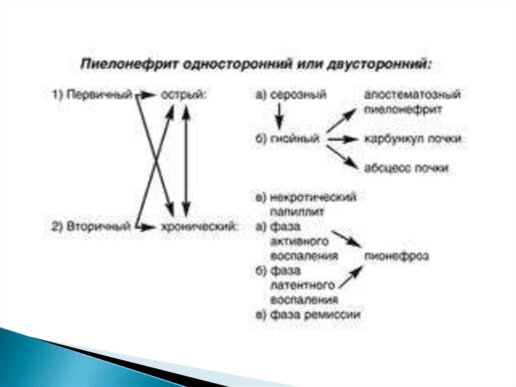 Лечение пиелонефрита у мужчин. Клиника острого пиелонефрита (первичного и вторичного). Схема лечения пиелонефрита. Цистит классификация. Хронический цистит классификация.