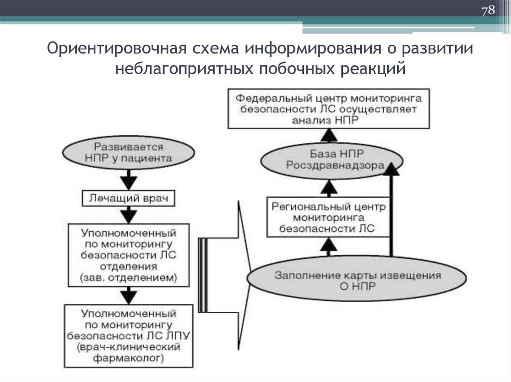 Схема ориентировочной деятельности