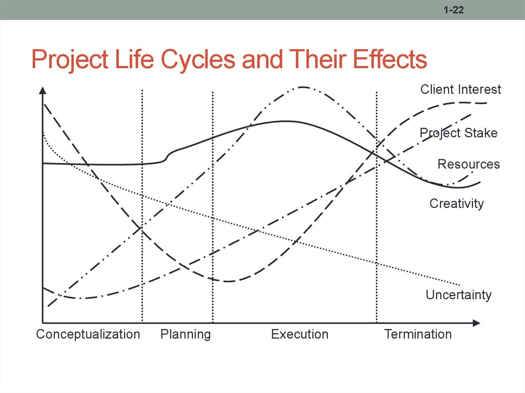 Project Life Cycles and Their Effects