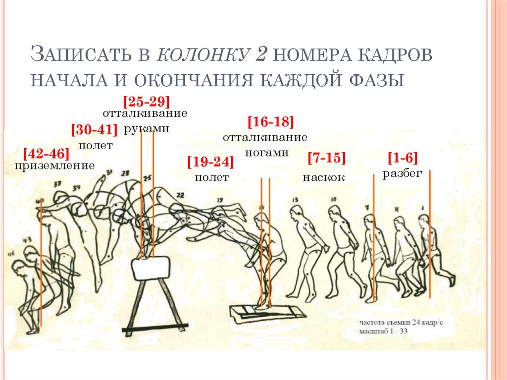 Записать в колонку 2 номера кадров начала и окончания каждой фазы