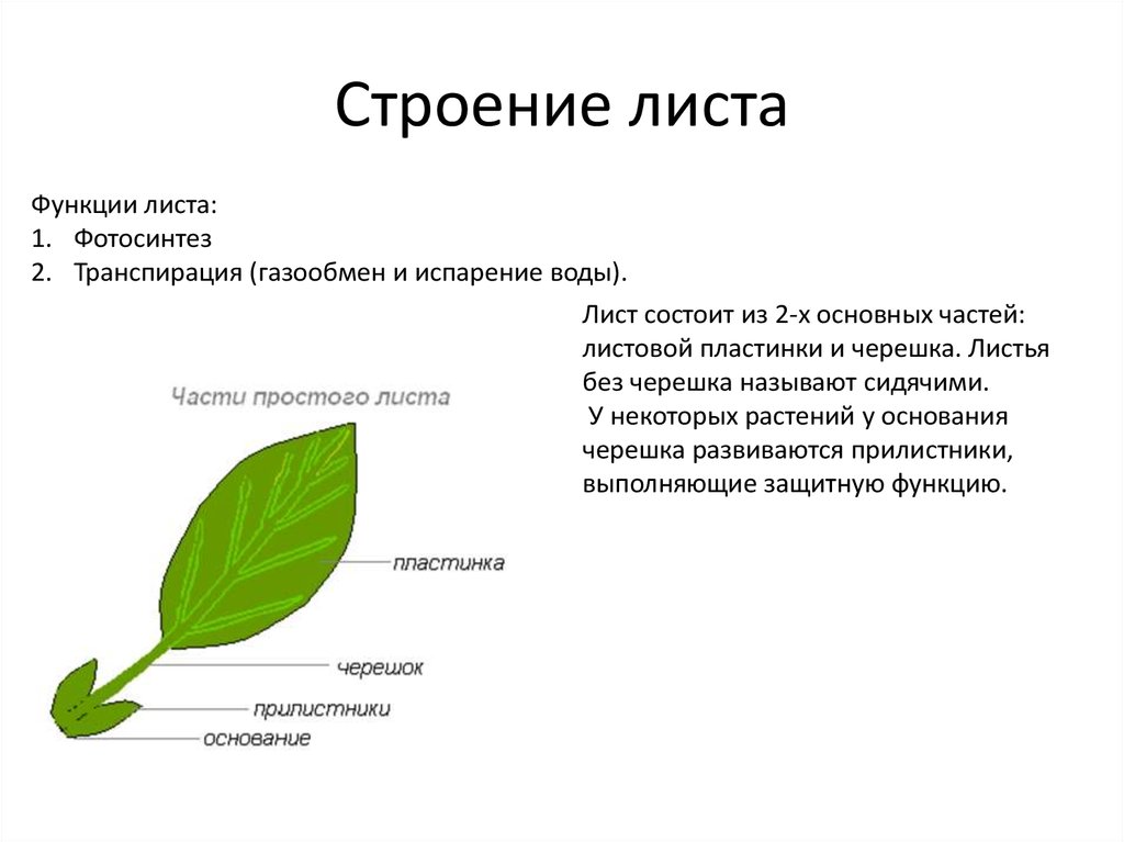 Составная часть презентации называется слайд лист рисунок