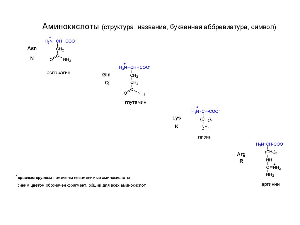 Строение аминокислот. Строение аминокислоты схема. Общая структура аминокислот. Строение аминокислоты схема биология. Схема строения аминокислоты с обозначениями.