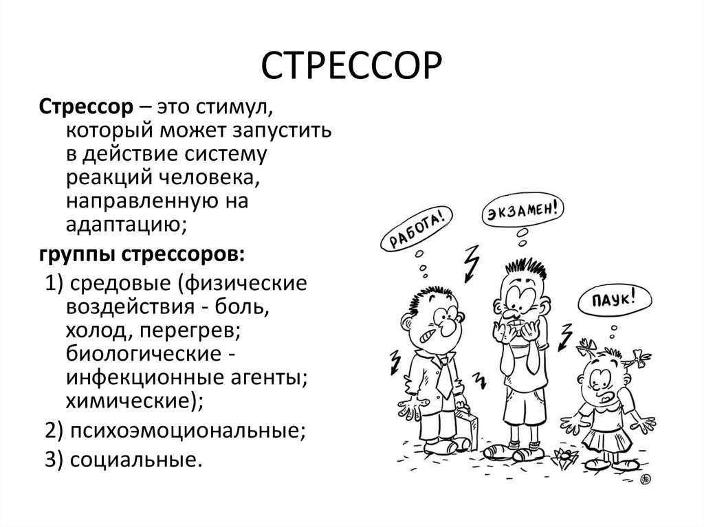 Слово давай в психологии. Стресс и стрессор схема. Стресс в виде рисунка. Физические стрессоры. Стрессоры это в психологии.