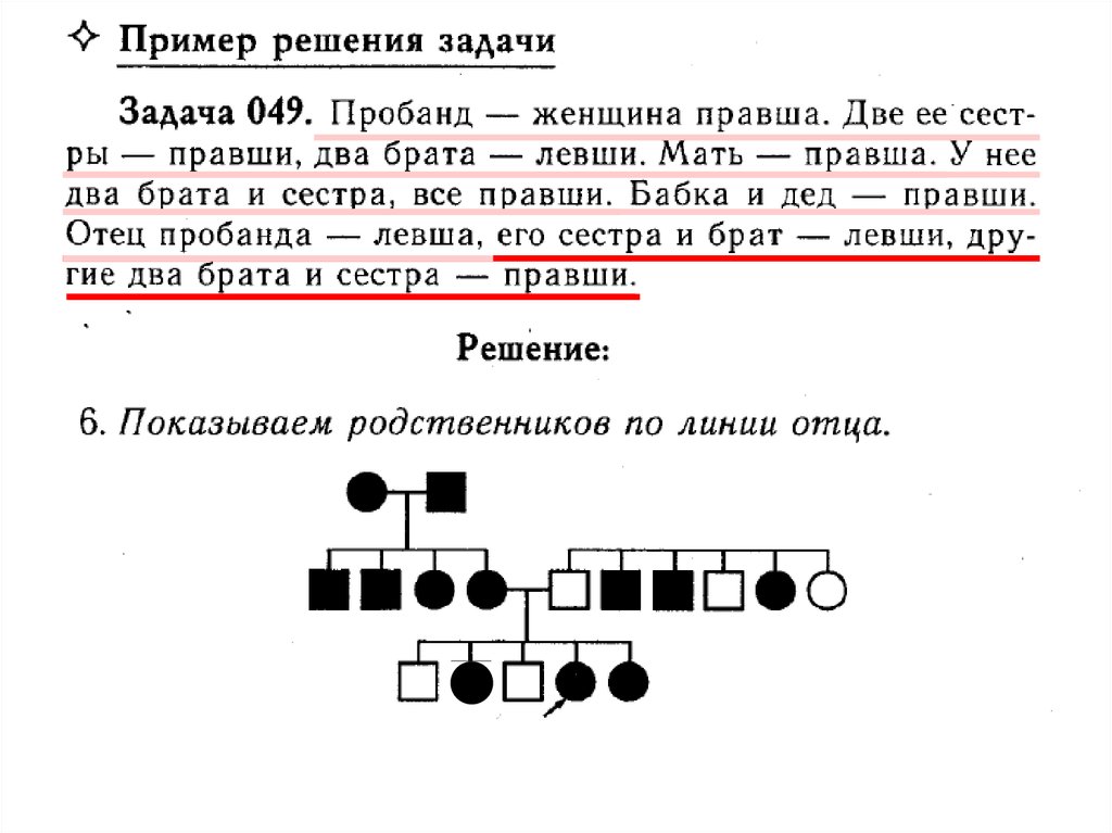 Пробанд здоровая. Пробанд здоровая женщина. Пробанд здоровая женщина ее сестра. Родственники пробанда. Брат пробанда.