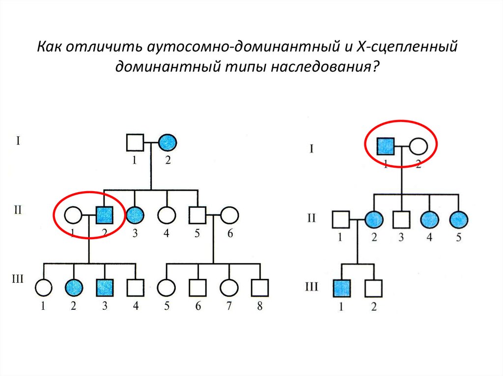 Тест типы наследования. Аутосомно-доминантный Тип наследования отличается. Критерии аутосомно-рецессивного типа. Схема скрещивания аутосомно доминантный. Аутосомно доминантный Тип наследования х сцепленное.