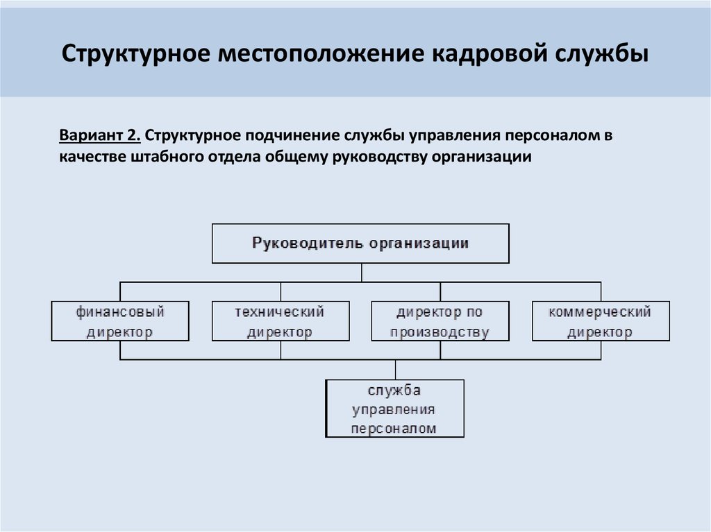 Структура управления персоналом. Структурная схема кадровой службы. Структурное расположение кадровой службы. Организационная структура кадровой службы. Отдел кадров структурное подчинение.