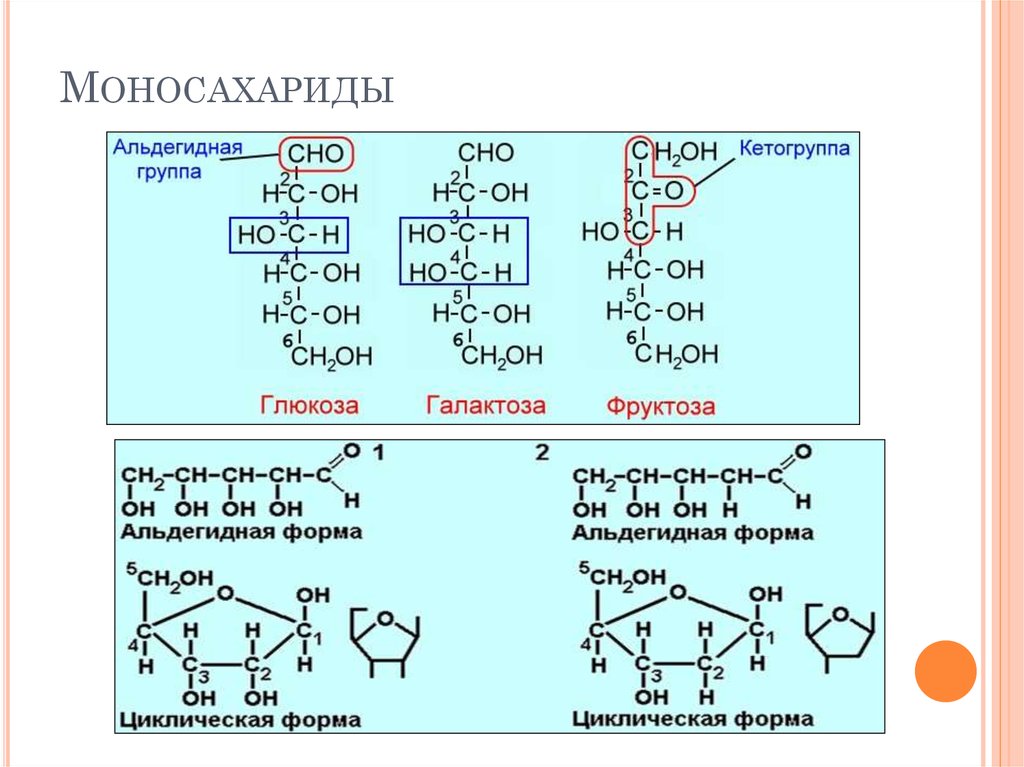 Наличие в глюкозе альдегидной группы. Альдегидные моносахариды. Моносахариды с альдегидной группой. Фруктоза альдегидная группа. Номенклатура моносахаридов.