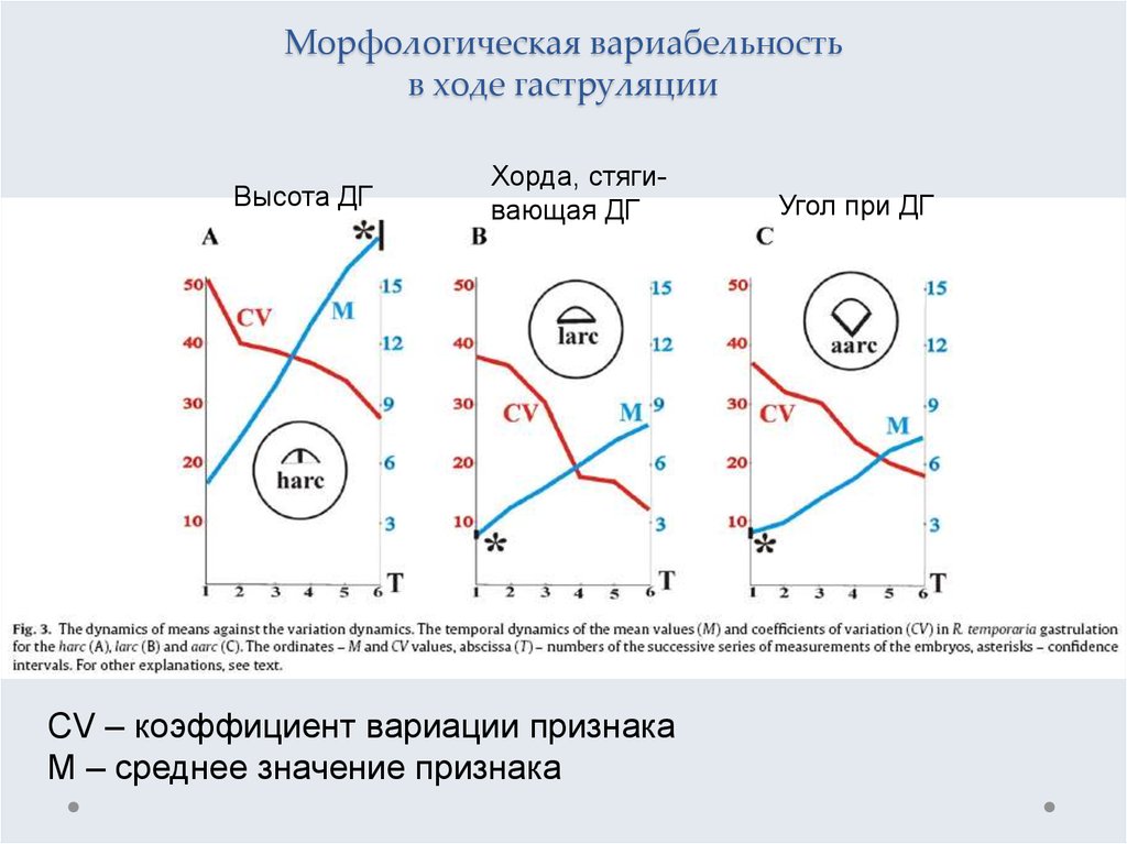 Схема жакоба и моно