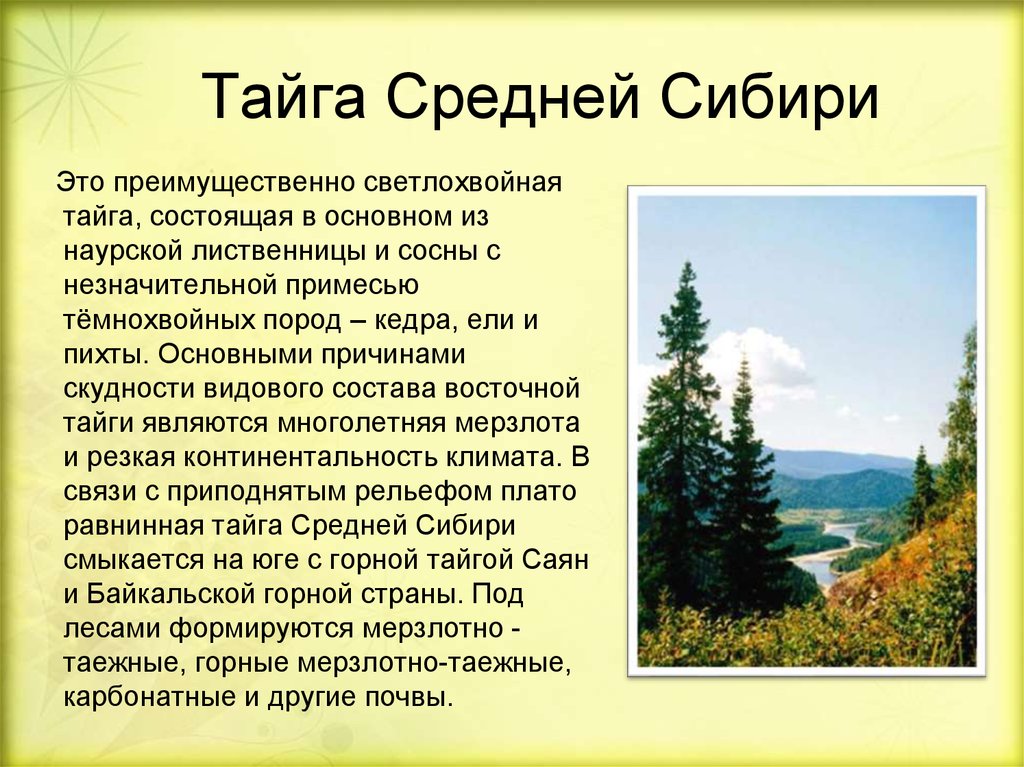 План описания природного района средняя сибирь 8 класс