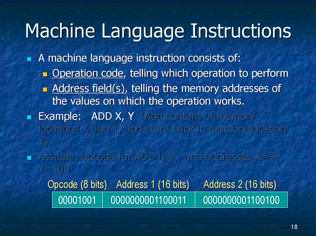 Machine Language Instructions
