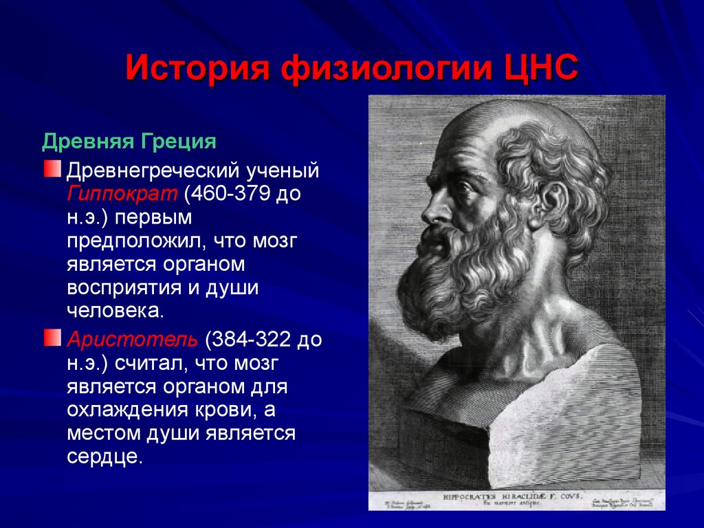 Как ученые называют 1 человека. Древняя Греция Гиппократ. Гиппократ ученый. Ученые древности. Древние ученые.
