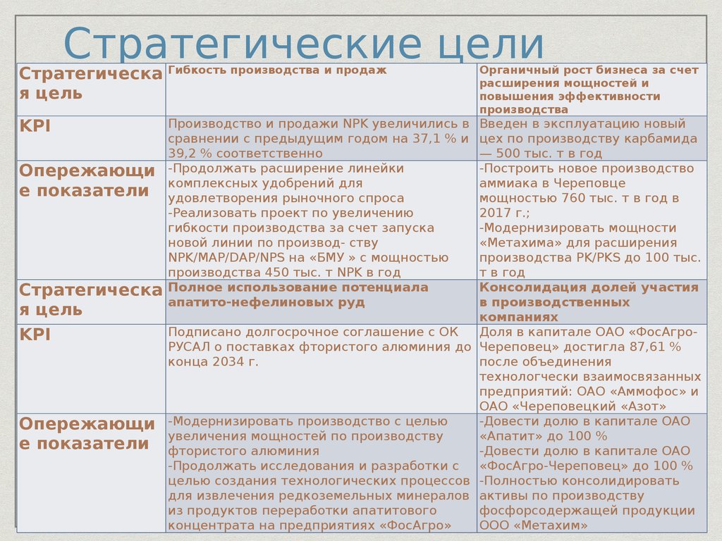 Стратегические цели ооо