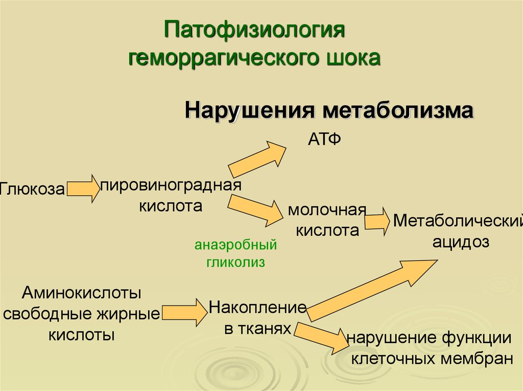 Патогенез геморрагического шока схема