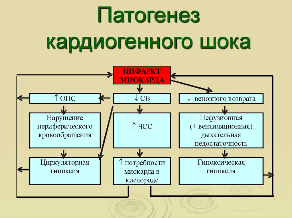 Патогенез шока схема - 88 фото