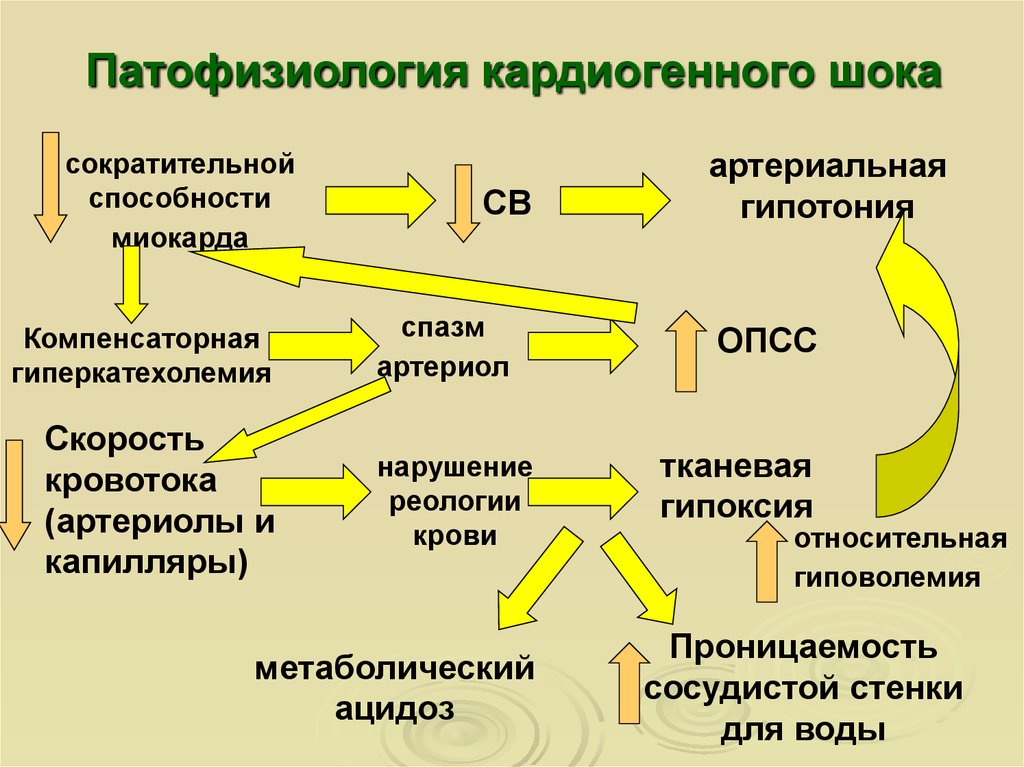 Кардиогенный шок варианты клиническая картина диагностика неотложная терапия