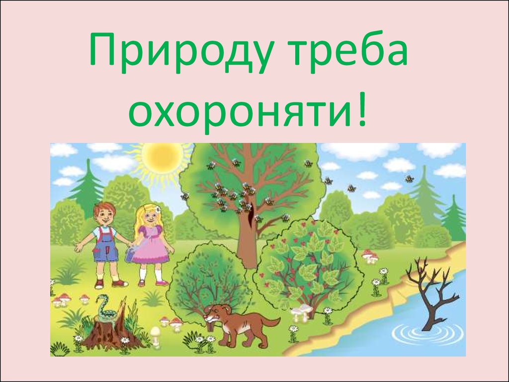 Богатство природы 3 класс. Богатства природы 1 класс. Презентация природа наше богатство.