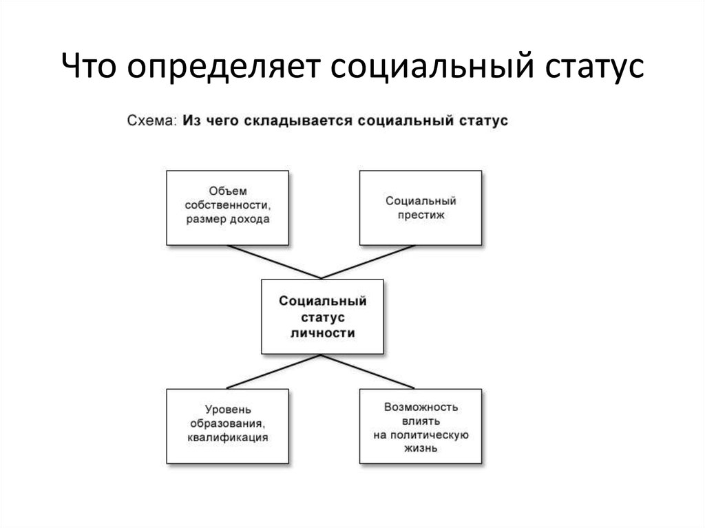 Социальные статусы и роли презентация 8 класс обществознание боголюбов конспект