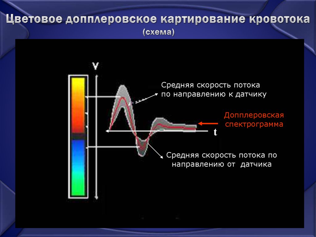 Принципы получения ультразвукового изображения сердца в трех режимах сканирования