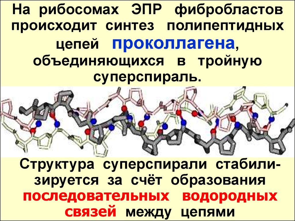 Синтез полипептидной. Синтез полипептидной цепи происходит в. Синтез полипептидной цепи. Синтез полипептидной цепи осуществляется. Источник энергии для синтеза полипептидной цепи.