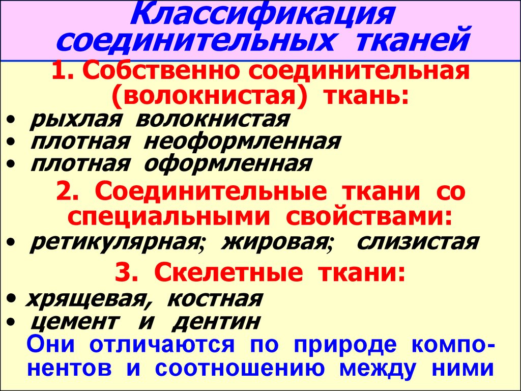 Классификация соединительной ткани