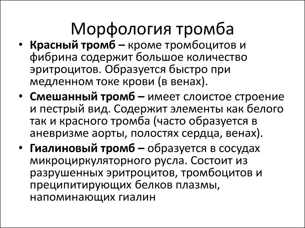 Исходы тромба. Морфологическая характеристика тромбов. Морфология тромба структура.