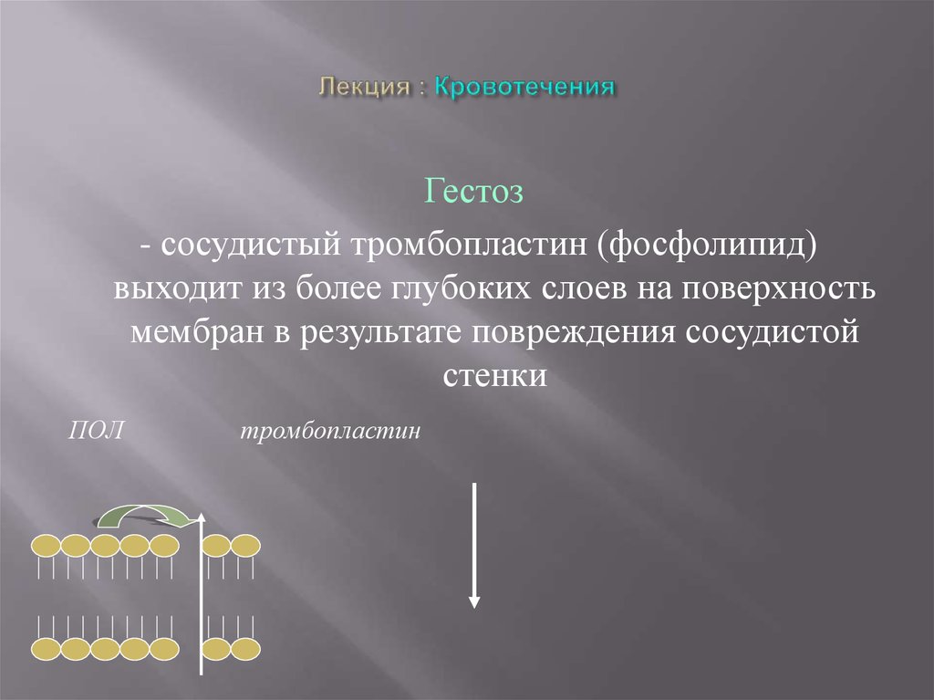 Лекция : Кровотечения