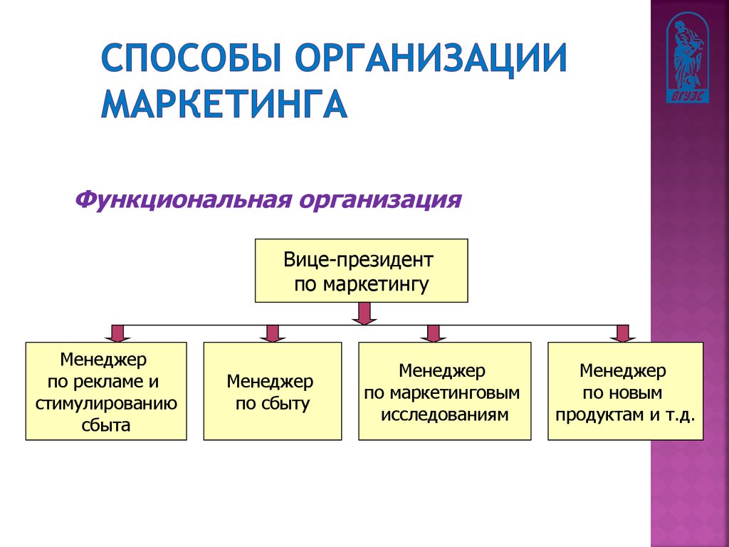 Организационная деятельность организации