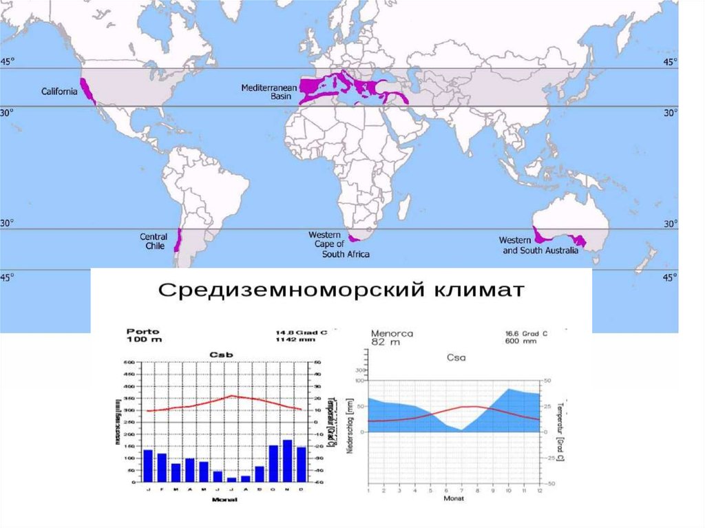 Средиземноморский климат. Субтропический средиземноморской Тип климата карта. Средиземноморский климатическая карта. Климатограмма субтропического пояса средиземноморского. Субтропический Средиземноморский климат.