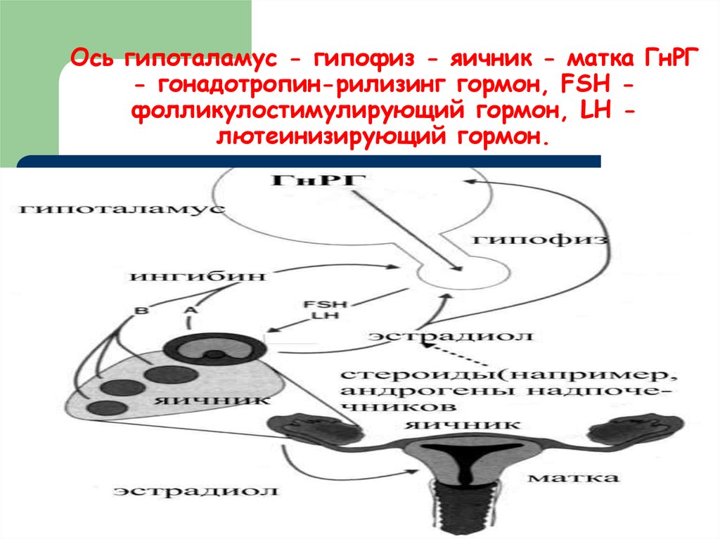 Послеродовый нейроэндокринный синдром презентация