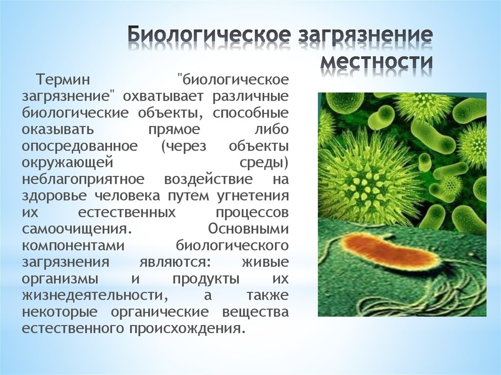 Живые организмы физико химические. Биологические загрязнения окружающей среды таблица. Биологическое загрязнение. Биологическое загрязнение окружающей среды. Биологические объекты загрязнения.